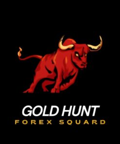 Gold Hunt EA